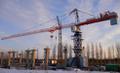 Башенный кран SCM С6015